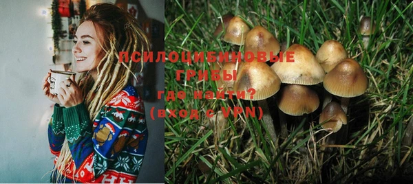 первитин Белокуриха