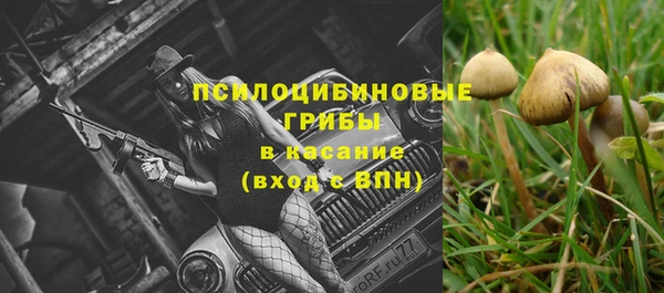 первитин Белокуриха