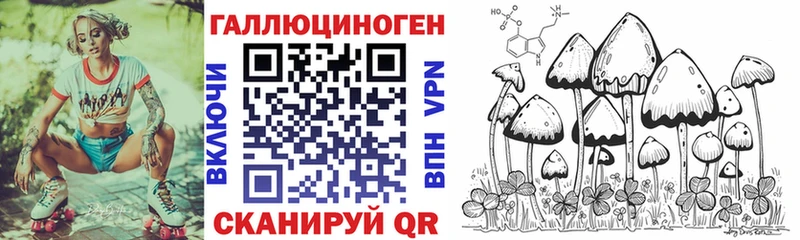 Псилоцибиновые грибы Cubensis  Чкаловск 